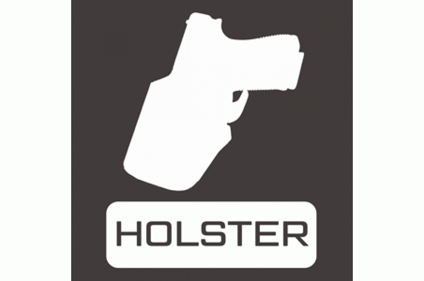 Holster
