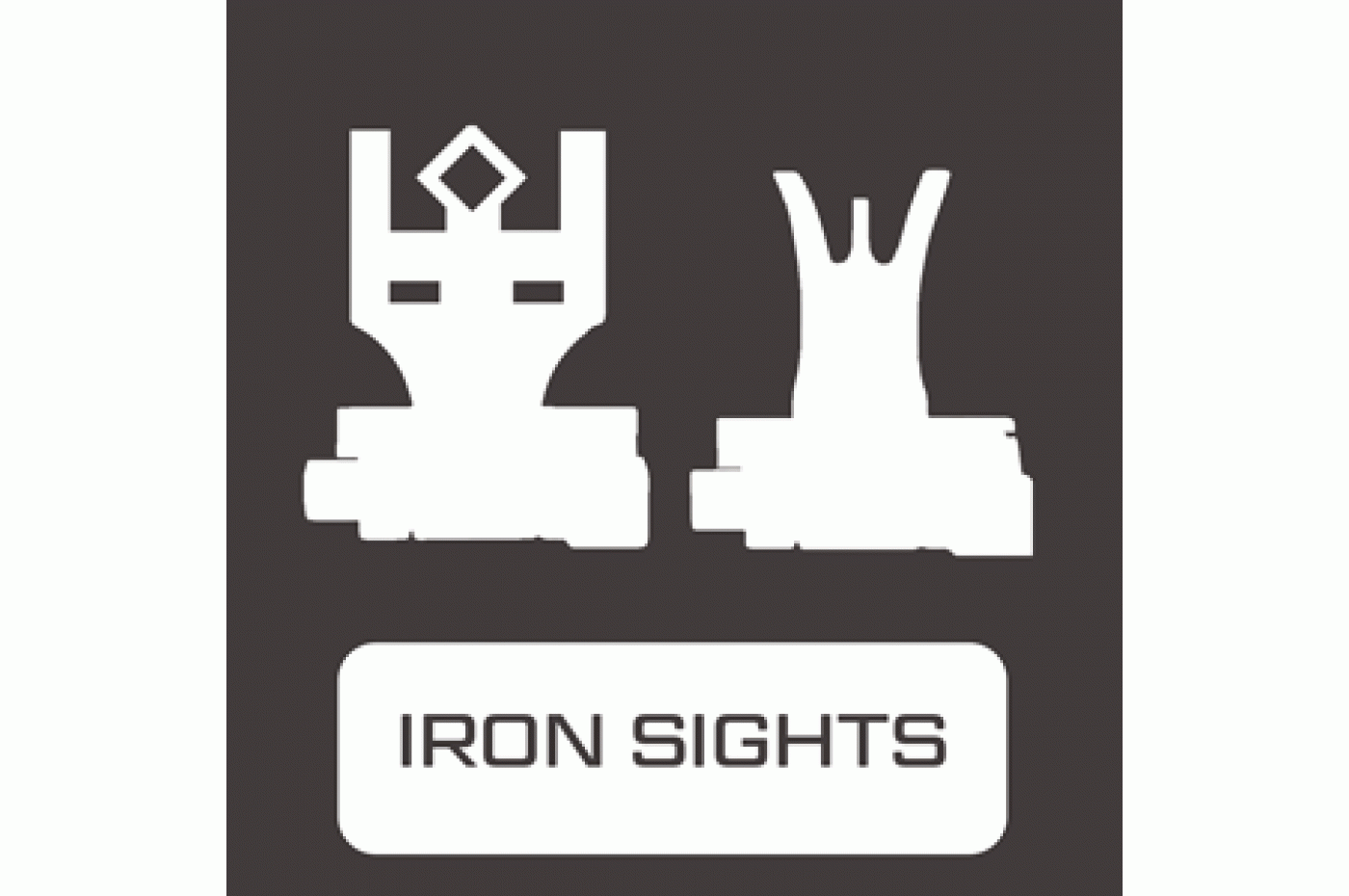 Iron Sights