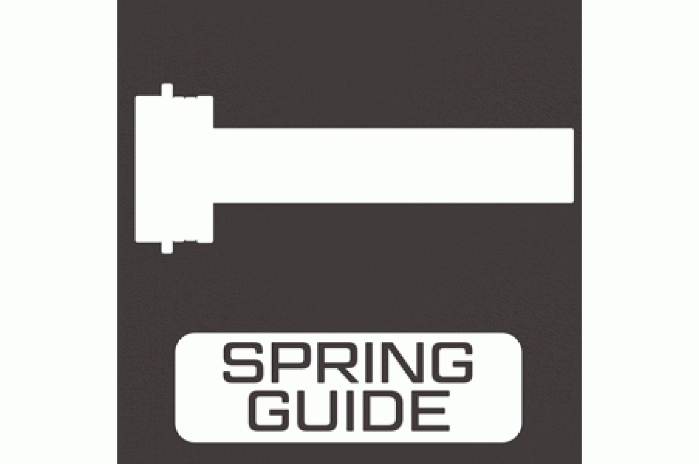 Spring Guide
