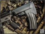 Big Dragon M4 AEG Stock w/ Build-in Magazine Carrier/RG