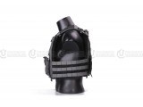 Emerson Gear BASILISK Plate Carrier/MCTP