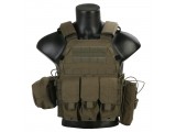 Emerson Gear BUSHMASTER Plate Carrier/RG