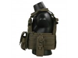 Emerson Gear BUSHMASTER Plate Carrier/RG