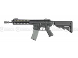AVALON GLADIUS AEG(DX/BK)