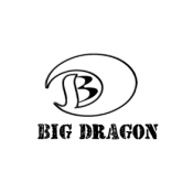 BIGDRAGON (28)